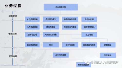 數據產品在人力資源管理的實踐與思考 一、在線數據處理與交易處理業務